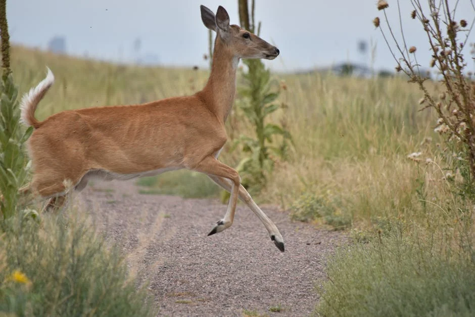 Image describing 7 Reasons PGA National Will Wow You in 2025!