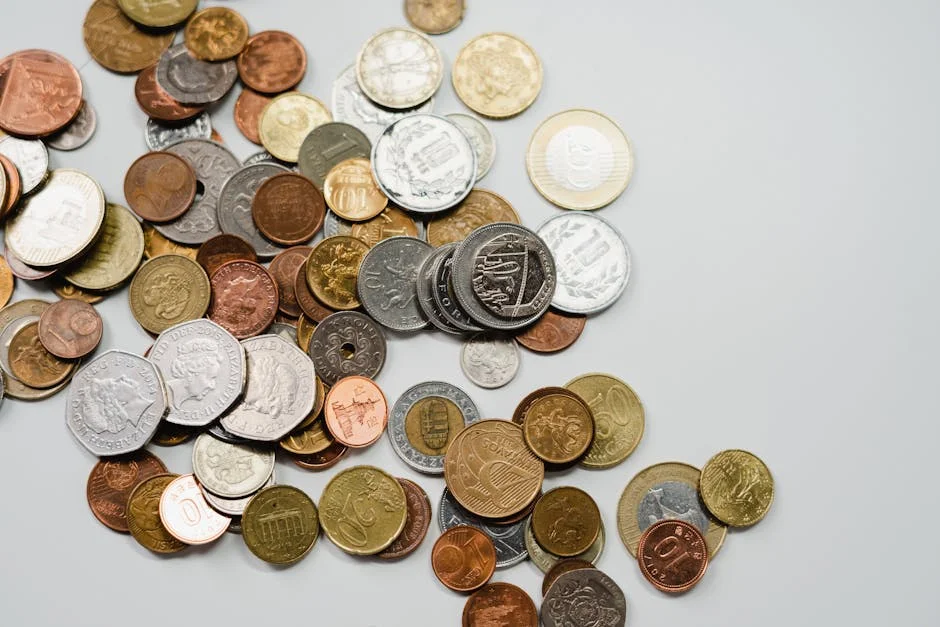 Image describing Top 10 Best Foreign Exchange Programs for 2025!