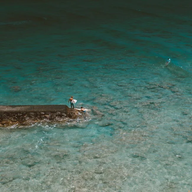 Image describing Discover Waikikis Hidden Castle Explore Now!