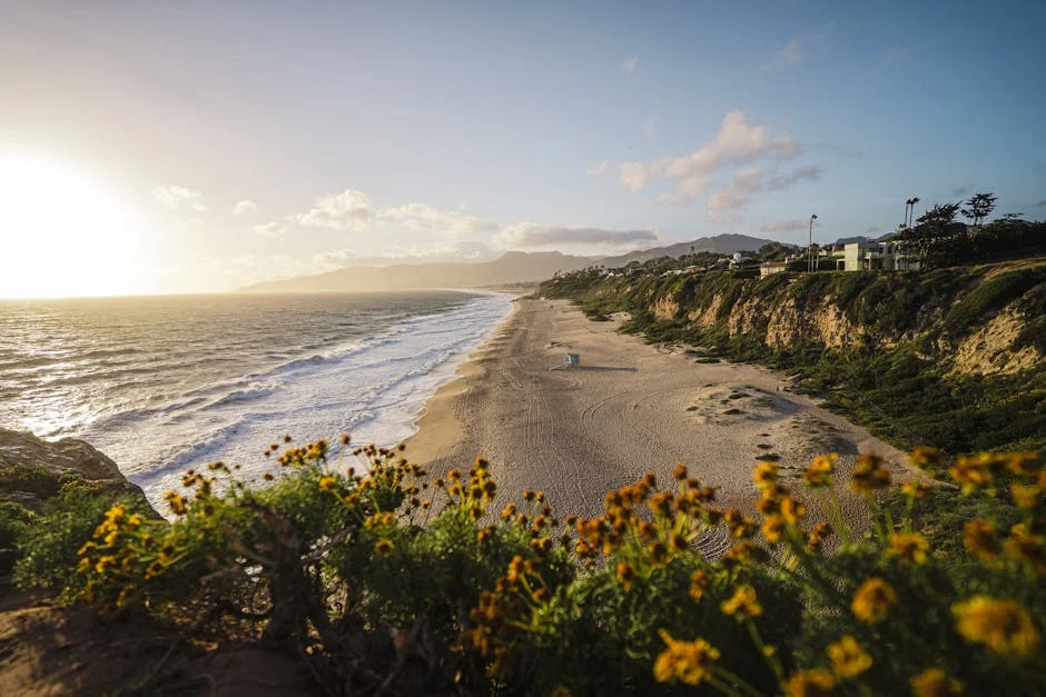 Image describing Top 10 Best Beach Houses Near You to Visit in 2025!