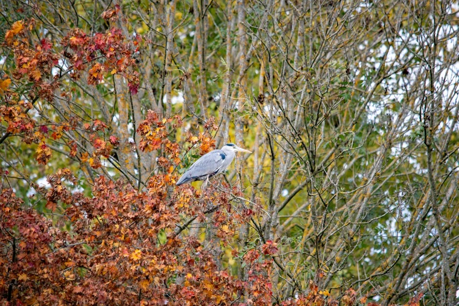 Image describing 10 Best REITs to Invest in Now for 2025 Growth