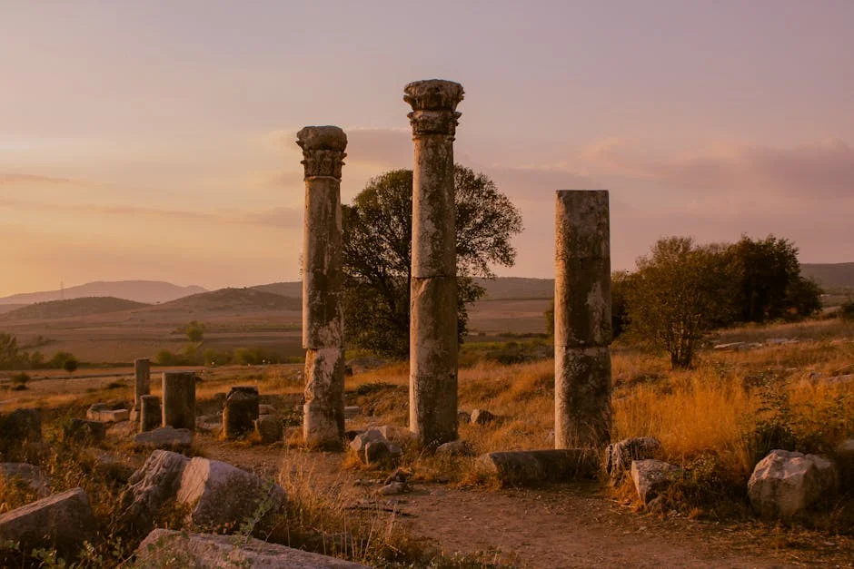 Image describing Top 10 NFT Auction Sites Thatll Skyrocket by 2025!