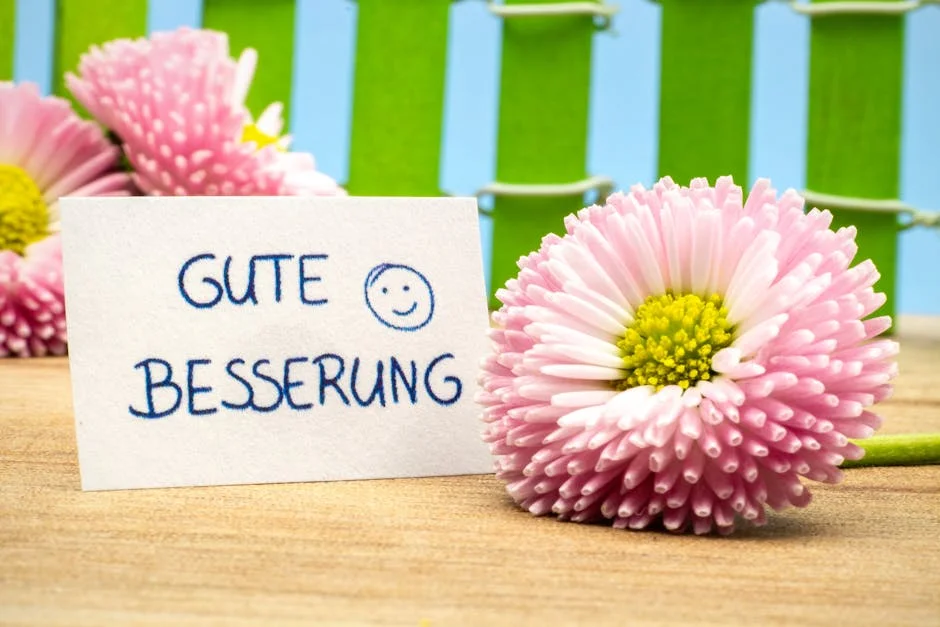 Image describing Top 15 Best Get Well Gifts Guaranteed to Impress Now!