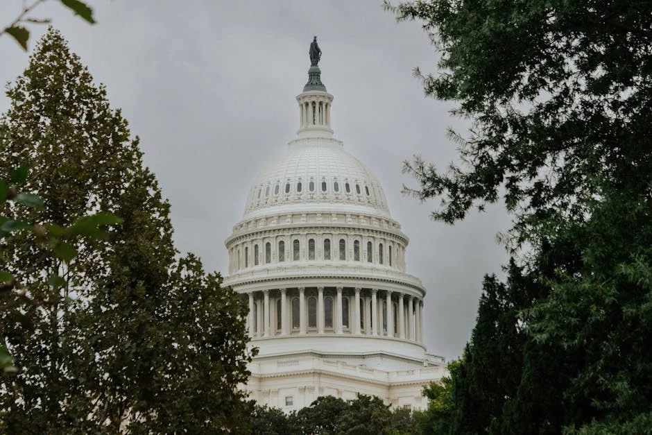 Image describing Top 7 Federal Loan Secrets You Need to Know Now!