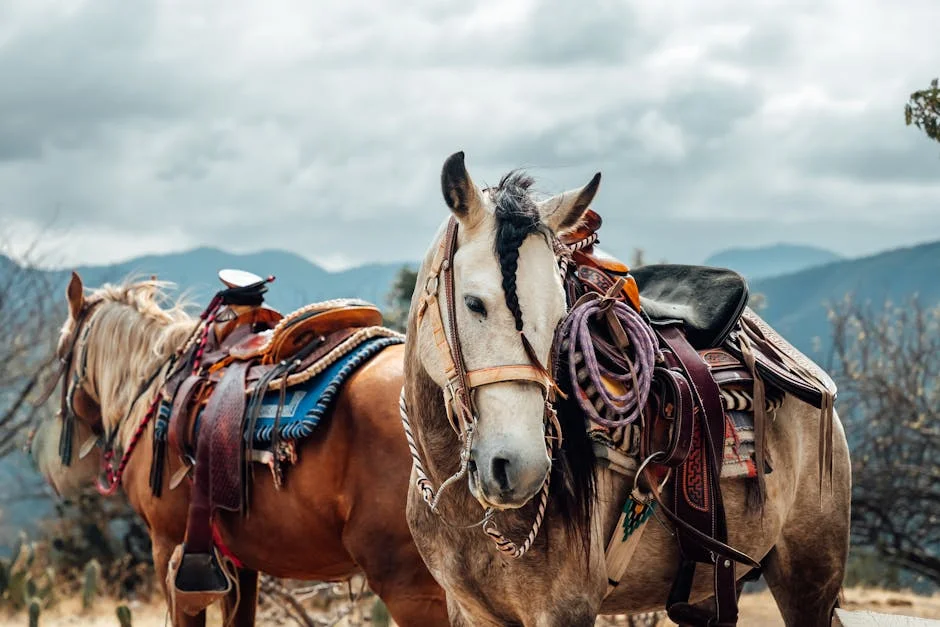 Image describing Discover the Best Carmel Valley Golf Tips for 2025!