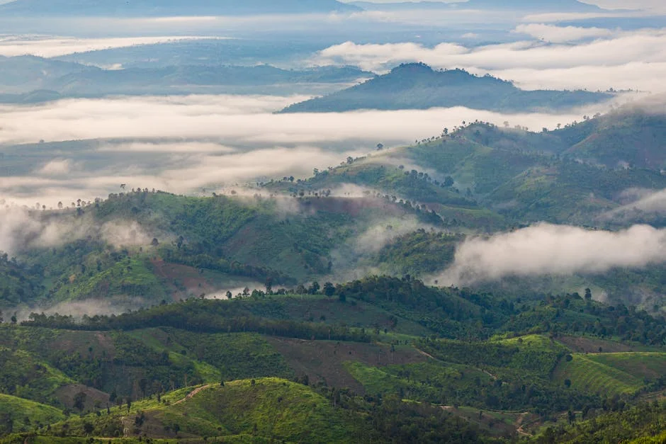 Image describing Discover the Top 5 Best Student Loan Hacks for 2025!