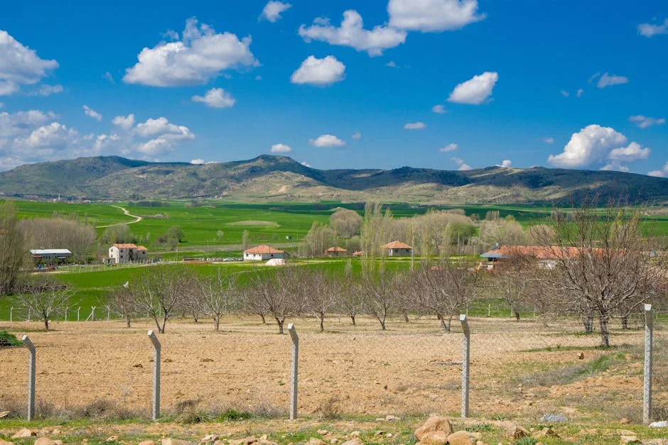 Image describing How to Create the Best Orchard Home in 2025