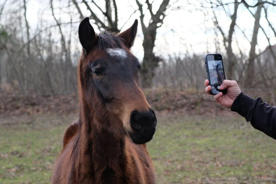 Image describing Top 10 Free iPhone Game Apps You Need Now!