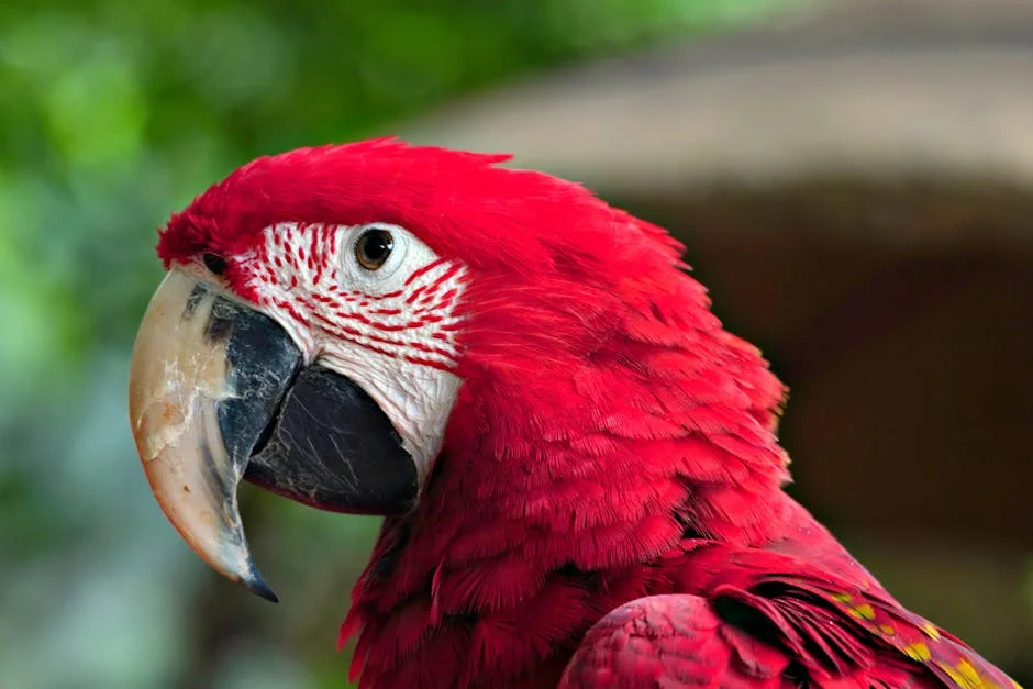 Image describing Top 7 Reasons to Try Amazon Luna Now in 2025!