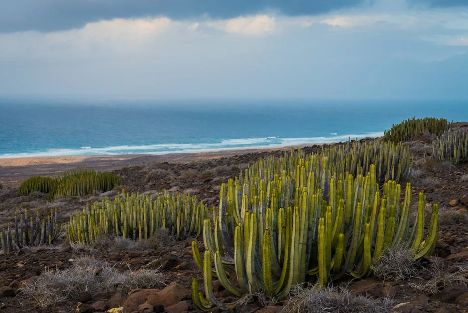 Image describing Top 7 Secrets to the Best Semester at Sea in 2025