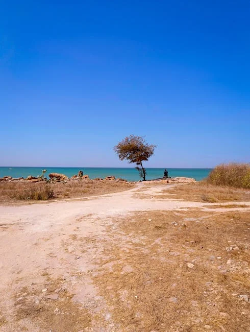 Image describing Top 7 Tactical RPGs for Android You Must Try Now