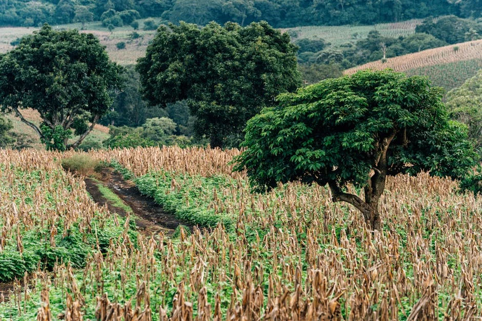 Image describing Unlock 7 Best K&G Coupons Now for 2025 Savings!