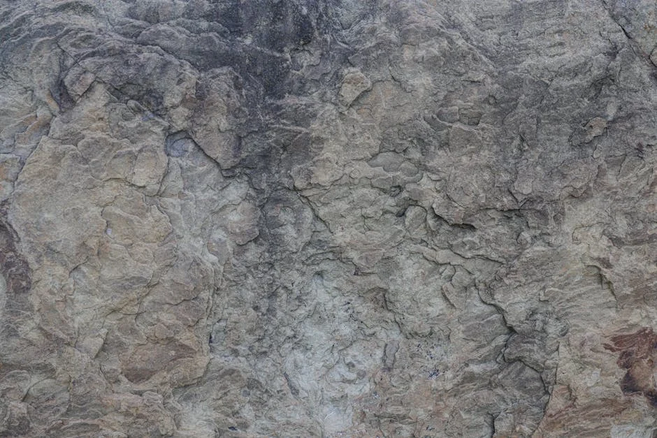 Image describing Top 5 Secrets to Winning Foundation Scholarships Now