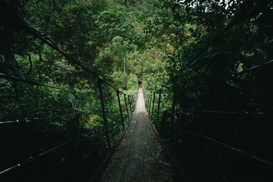 Image describing Top 5 Brokerages You Need to Know About in 2025!