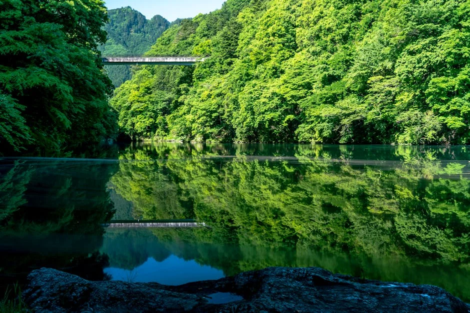 Image describing Top 7 Best Stream Cameras in 2026 Which Wins Now?