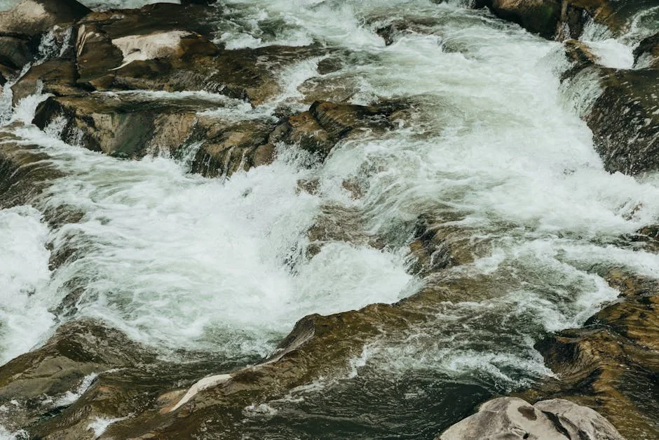 Image describing 2026 Best Quicksilver vs Quicksilver One Which Wins Now?