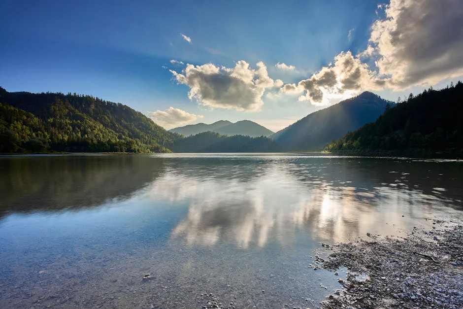 Image describing Best Fidelity REIT in 2026? 7 Proven Picks Now