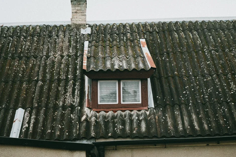 Image describing How to Find the Best Asbestos Testing Near Me in 2026?