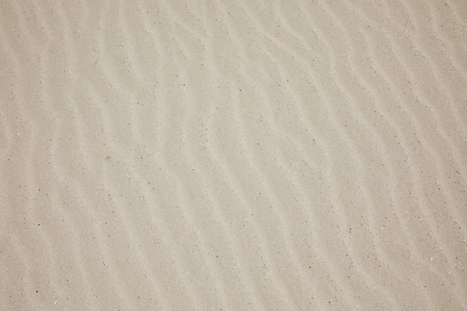 Image describing How to Get the Best FSEOG Grant in 2026—Fast?