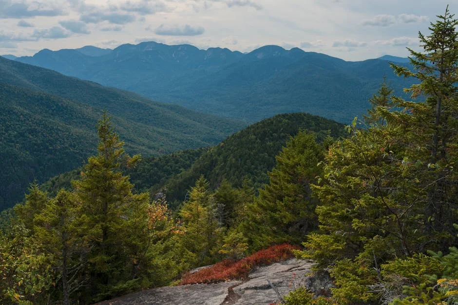 Image describing Top 7 Proven Picks for Green Bay vs NY Giants 2026?