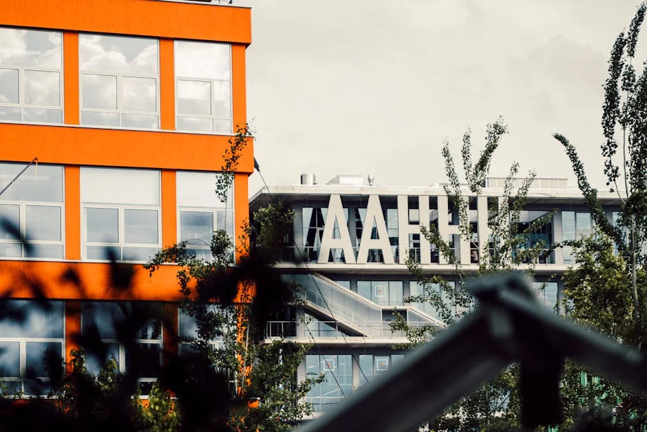 Image describing How to Ride the DAAD Rise Fast in 2026 7 Proven Steps?