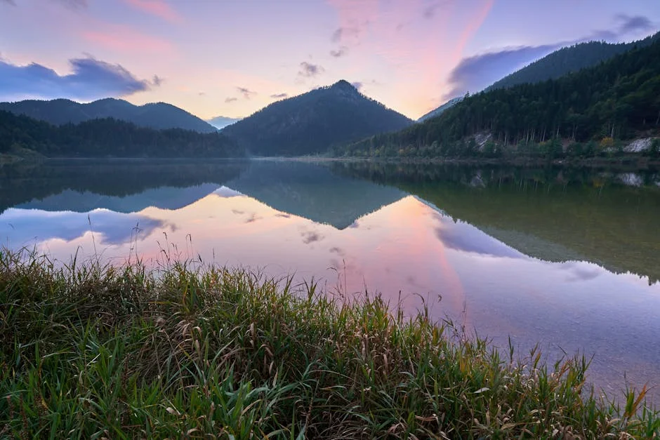 Image describing Top 7 High-Yield REITs for 2026 Proven Income Now?