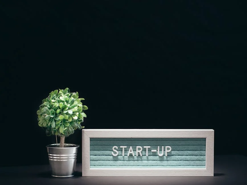 Image describing How to Get a Fast Startup Loan in 2026 7 Proven Steps?