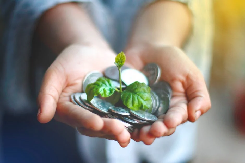 Image describing How to Get Seed Funding Fast in 2026 7 Proven Steps?